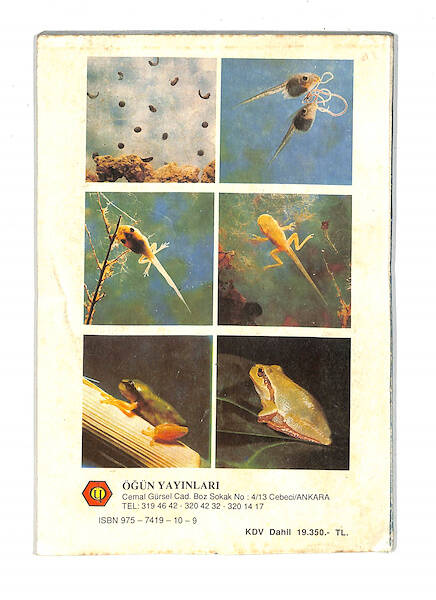1990's İlkokul 2.Sınıf Fen Bilgisi Ders Kitabı NDR99818 - 3