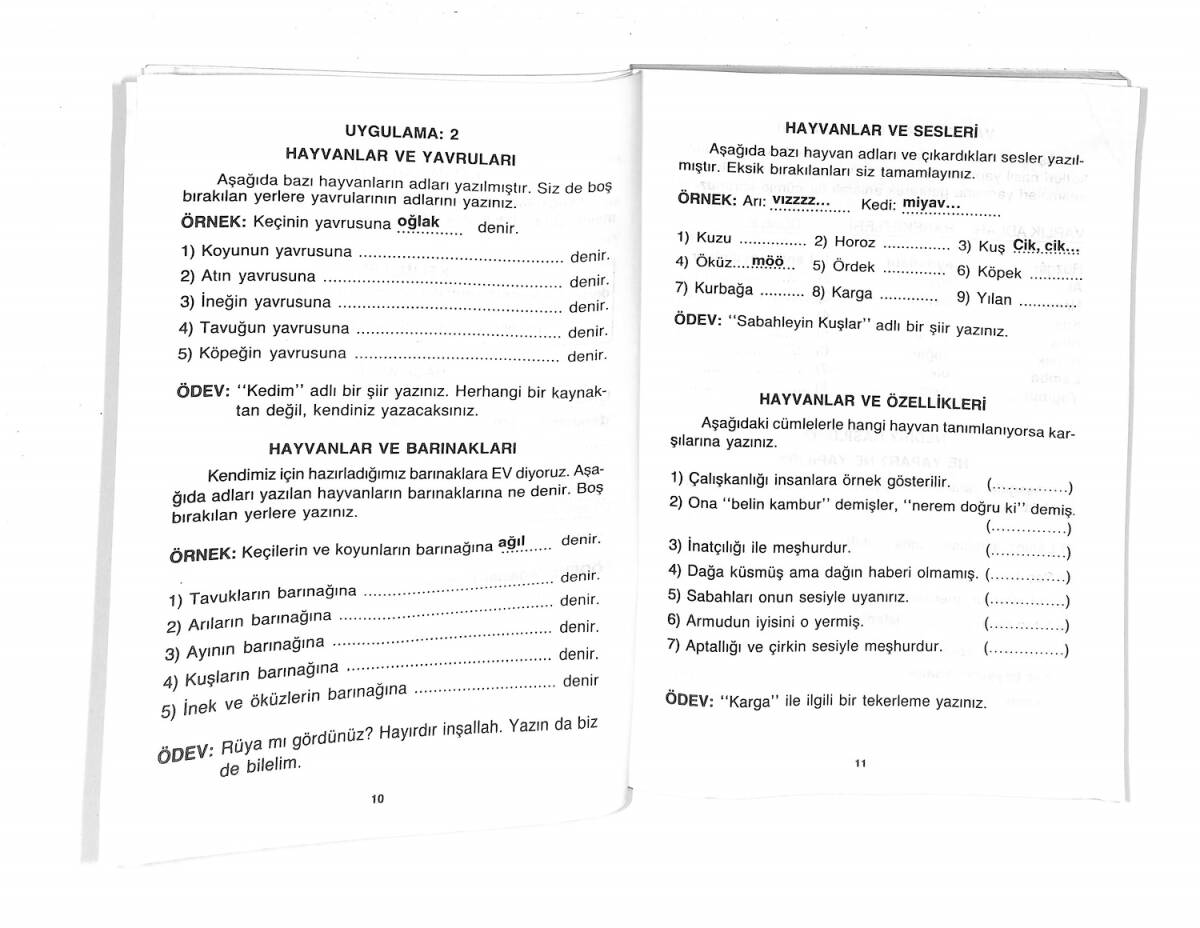 1990's İlkokul 2.Sınıf Testli Uygulamalı Sözlü Ve Yazılı Anlatım Dil Bilgisi Dil Yeteneği Ders Kitabı NDR99639 - 2
