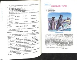 1990's İlkokullar İçin 4.Sınıf Testli-Renkli Uygulamalı Dil Bilgisi Ders Kitabı NDR99909 - 2