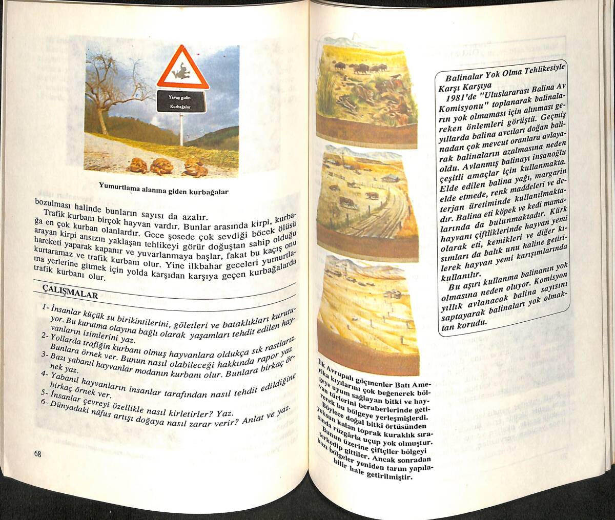 1990's Okullarda Çevre Bilgisi NDR99888 - 2