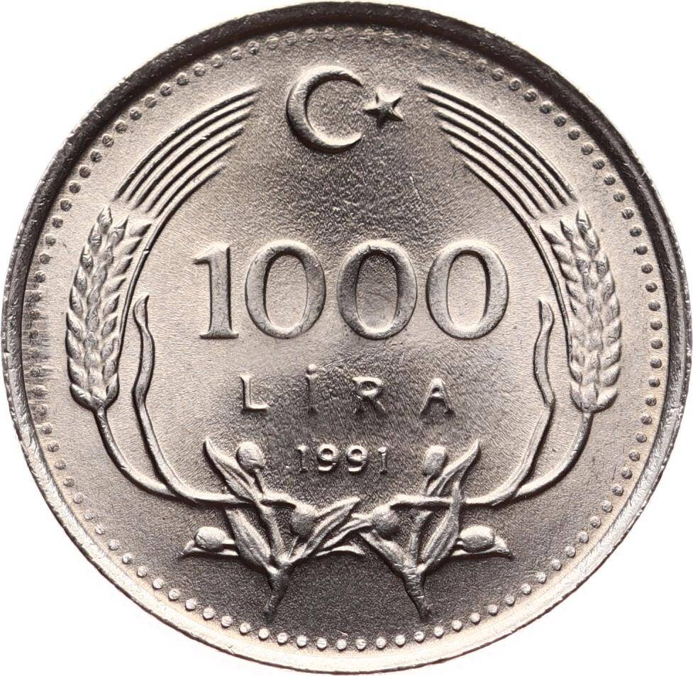 1991 Yılı 1000 Lira - ÇİL TCM3268 - 1