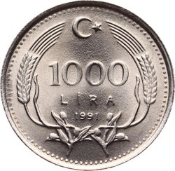 1991 Yılı 1000 Lira - ÇİL TCM3268 - 3