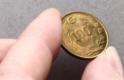 1993 Yılı 100 Lira - ÇİL TCM3261 - 3