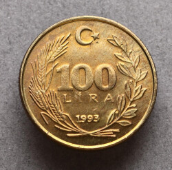 1993 Yılı 100 Lira - ÇİL TCM3261 - 4