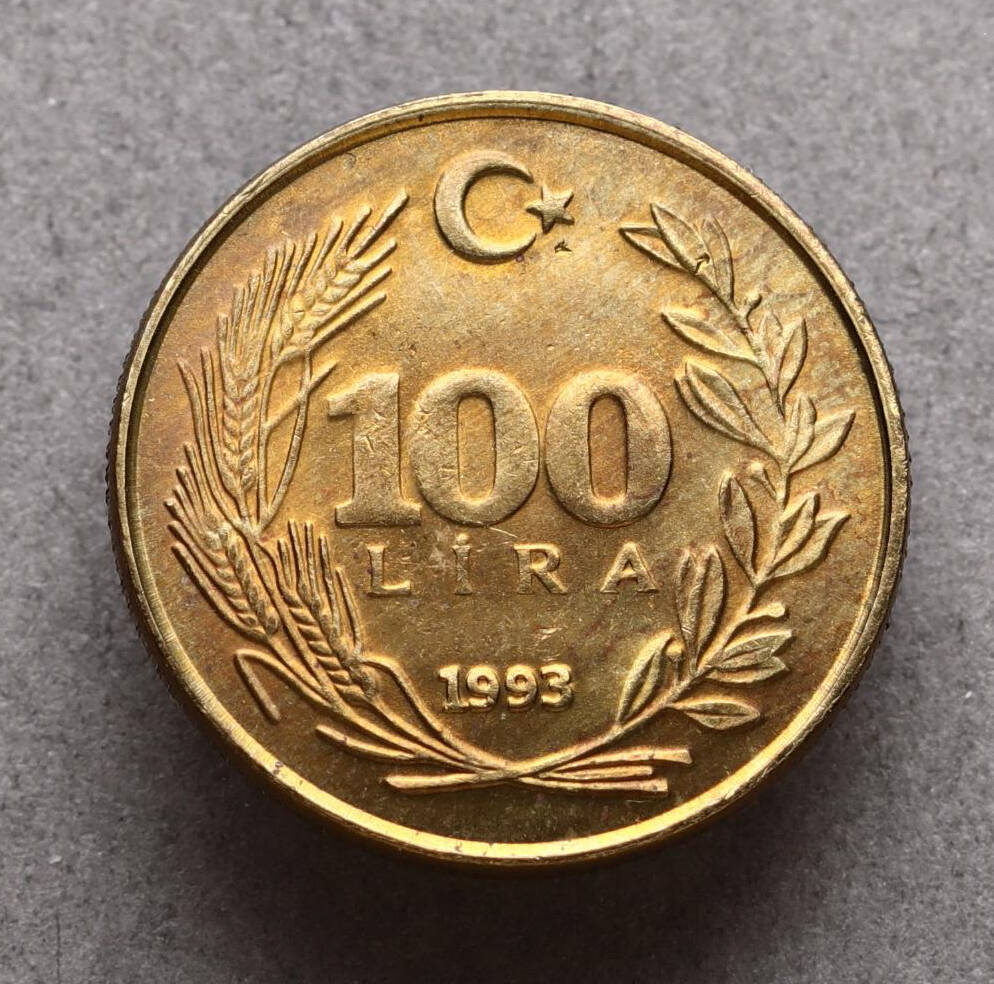 1993 Yılı 100 Lira - ÇİL TCM3261 - 4
