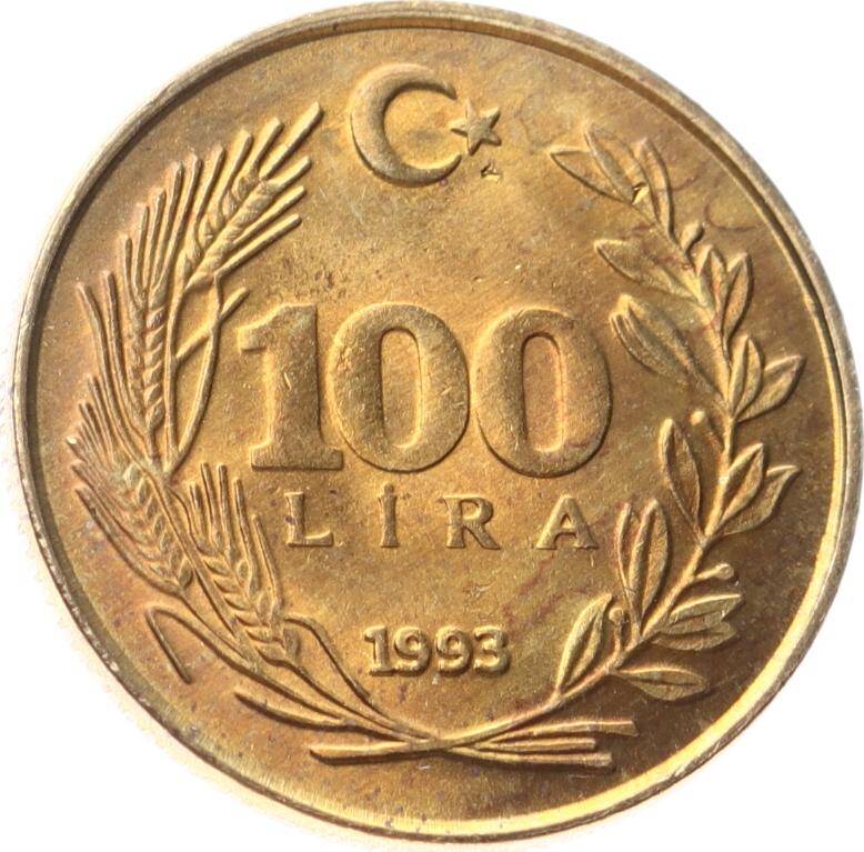 1993 Yılı 100 Lira - ÇİL TCM3261 - 6