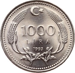 1993 Yılı 1000 Lira - ÇİL TCM3149 - 3