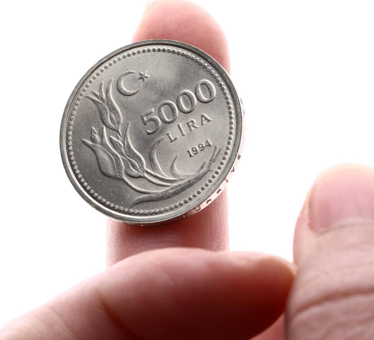 1994 Yılı 5.000 Lira - ÇİL TCM3224 - 3