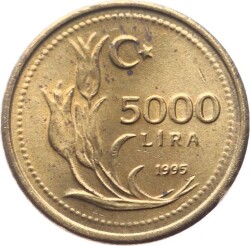 1995 Yılı 5000 Lira ÇİL TCM2621 - 1