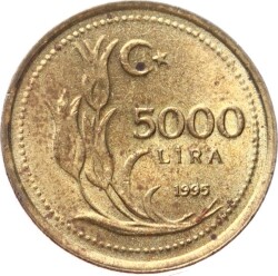 1995 Yılı 5000 Lira ÇİL TCM3364 - Gökçekoleksiyon