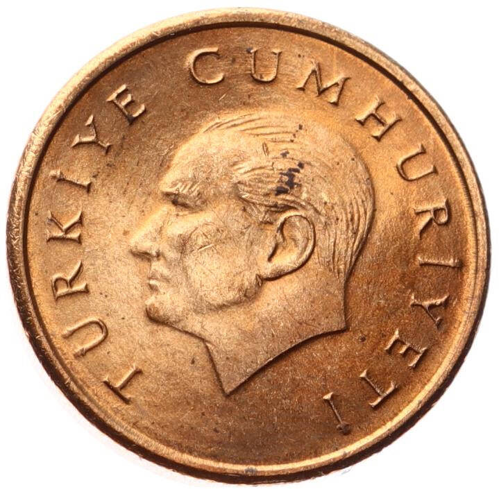 1996 Yılı 1000 Lira - ÇİL TCM3246 - 2