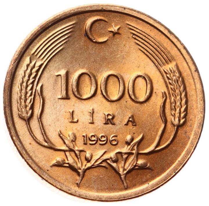 1996 Yılı 1000 Lira - ÇİL TCM3246 - 3