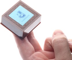 1999 Marmara Depremi 