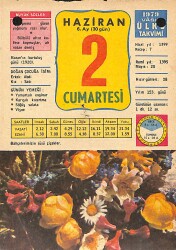2 Haziran 1979 Takvim Yaprağı - Doğum Günü Hediyesi EFMN13786 - Gökçekoleksiyon