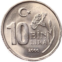 2000 Yılı 10.000 Lira - ÇİL TCM3270 - Gökçekoleksiyon