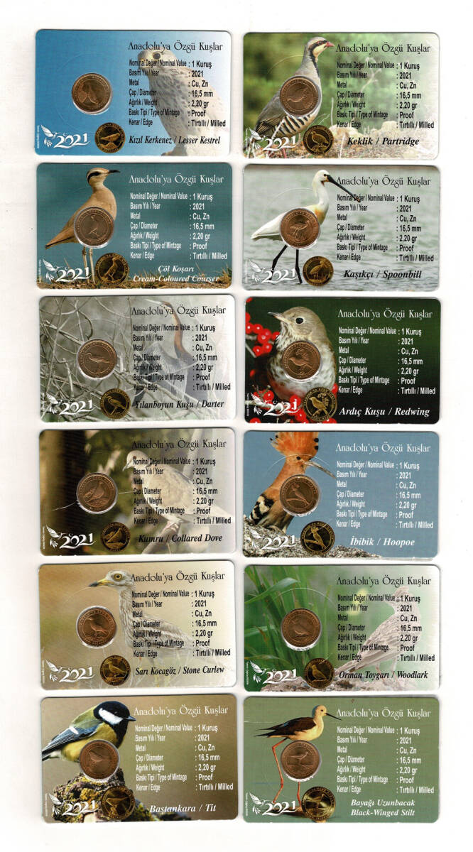 2001 Yılı Anadoluya Özgü Kuşlar Seti ÇİL *Özel Kitinde* (12 Adet) TCM3336 - 2