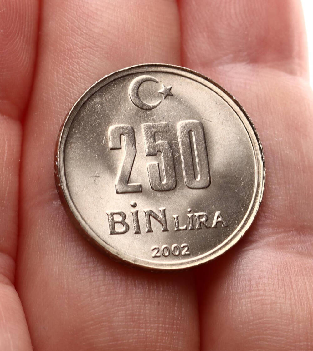 2002 Yılı 250.000 Lira - ÇİL TCM3263 - 3
