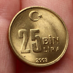 2003 Yılı 25.000 Lira - ÇİL TCM3264 - 3