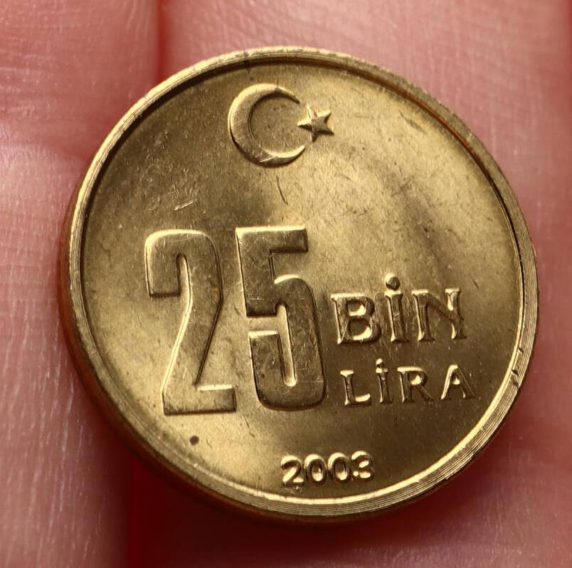 2003 Yılı 25.000 Lira - ÇİL TCM3264 - 3