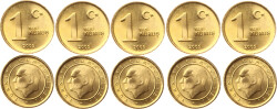 2005 Yılı 1 Kuruş Lot (5 Adet) - ÇİL TCM3175 - Gökçekoleksiyon