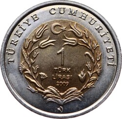2009 Bimetal Su Kaplumbağası (Caretta Caretta) TCH411 - 2