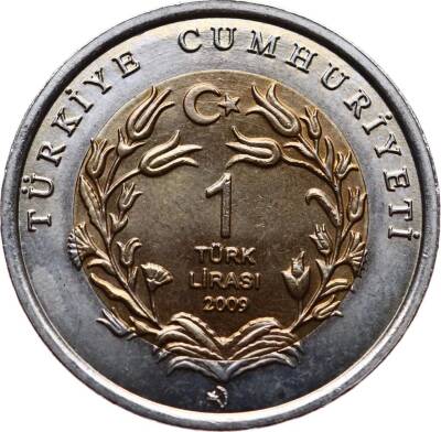 2009 Bimetal Su Kaplumbağası (Caretta Caretta) TCH411 - 2