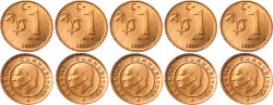 2009 Yılı 1 Kuruş Lot (5 Adet) - ÇİL TCM3178 - Gökçekoleksiyon