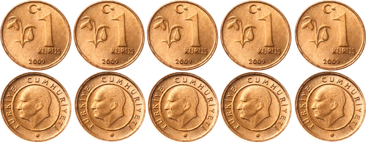 2009 Yılı 1 Kuruş Lot (5 Adet) - ÇİL TCM3178 - 1