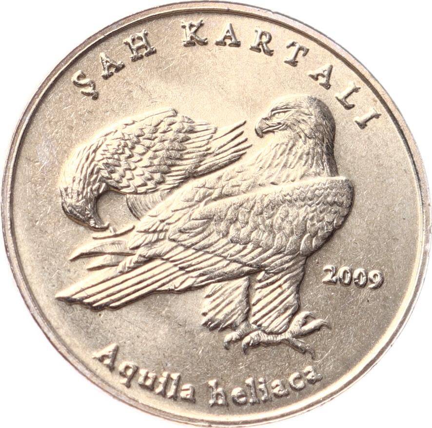 2009 Yılı Şah Kartalı - ÇİL TCM3207 - 1