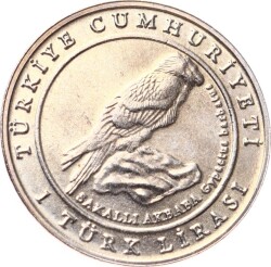 2009 Yılı Şah Kartalı - ÇİL TCM3207 - 2