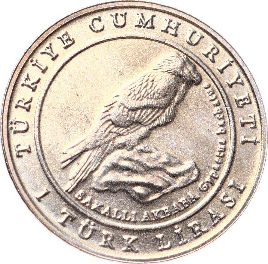 2009 Yılı Şah Kartalı - ÇİL TCM3207 - 2