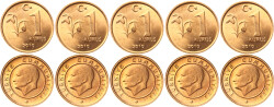 2010 Yılı 1 Kuruş Lot (5 Adet) - ÇİL TCM3176 - Gökçekoleksiyon