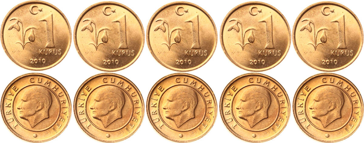 2010 Yılı 1 Kuruş Lot (5 Adet) - ÇİL TCM3176 - 1
