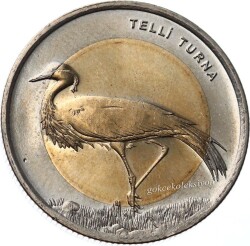 2013 Bimetal Telli Turna TCH396 - Gökçekoleksiyon