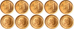 2013 Yılı 1 Kuruş Lot (5 Adet) - ÇİL TCM3177 - Gökçekoleksiyon