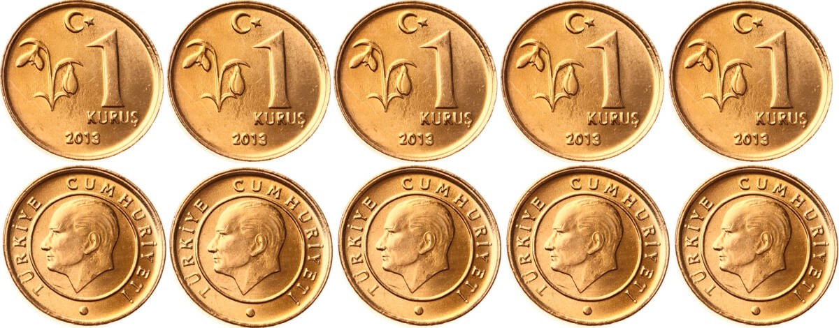 2013 Yılı 1 Kuruş Lot (5 Adet) - ÇİL TCM3177 - 1