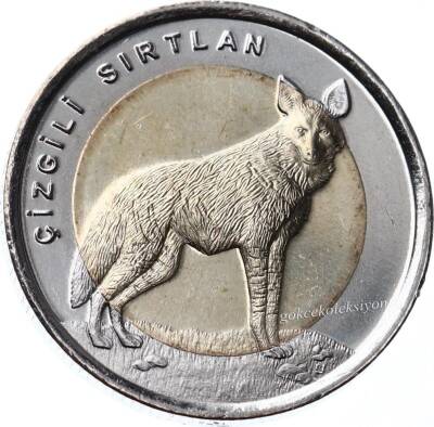 2014 Bimetal Çizgili Sırtlan TCH399 - 1