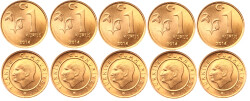 2014 Yılı 1 Kuruş Lot (5 Adet) - ÇİL TCM3174 - Gökçekoleksiyon