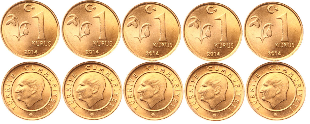 2014 Yılı 1 Kuruş Lot (5 Adet) - ÇİL TCM3174 - 1
