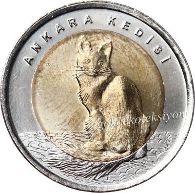 2015 - Ankara Kedisi TCH400 - 1