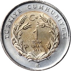 2015 - Ankara Kedisi TCH400 - 2