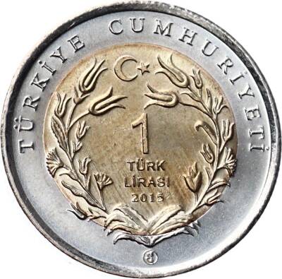 2015 - Ankara Kedisi TCH400 - 2