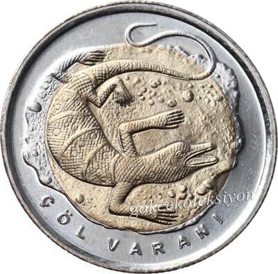 2015 - Çöl Varanı TCH403 - 1