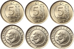 2015 Yılı 5 Kuruş Lot (3 Adet) - ÇİL TCM3184 - Gökçekoleksiyon