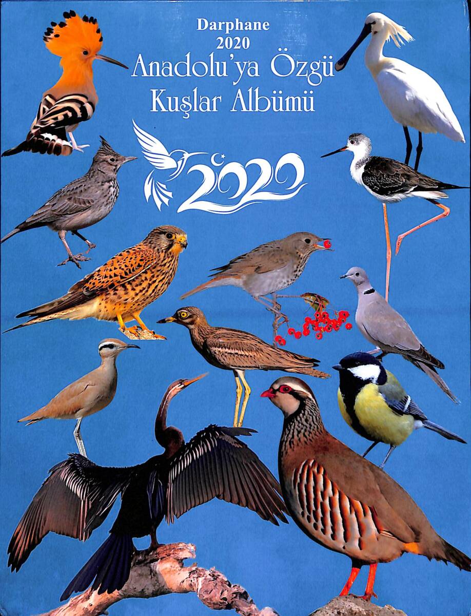 2020 Anadolu'ya Özgü Kuşlar Serisi KTL20 - 1