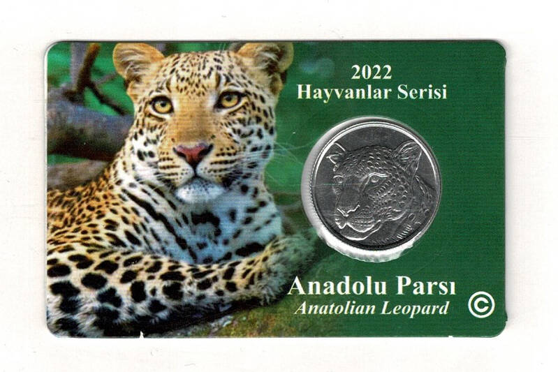 2022 Hayvanlar Serisi (Anadolu Parsı) 1 Kuruş *Özel Kitinde* TCM3328 - 1
