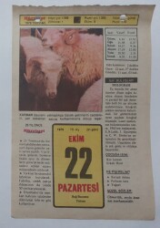 22 Ekim 1979 Takvim Yaprağı - Doğum Günü Hediyesi EFM(N)7372 - Gökçekoleksiyon