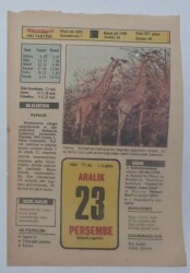 23 Aralık 1982 Takvim Yaprağı - Doğum Günü Hediyesi EFM(N)7328 - Gökçekoleksiyon