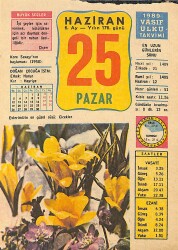 25 Haziran 1989 Takvim Yaprağı - Doğum Günü Hediyesi EFMN13911 - Gökçekoleksiyon