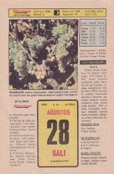 28 Ağustos 1979 Takvim Yaprağı -Doğum Günü Hediyesi EFM(N)6309 - Gökçekoleksiyon